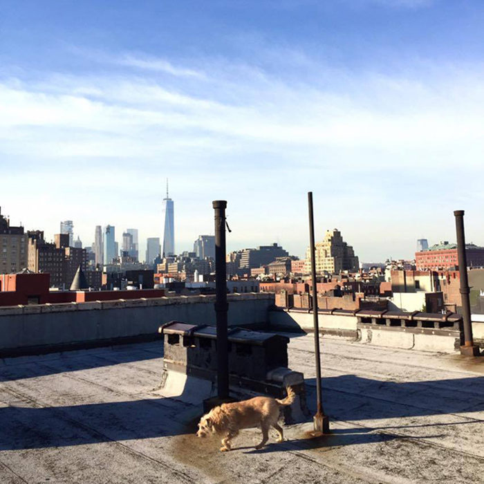 the-wow_sophie-und-tompkin-in-der-fashion-metropole_skyline