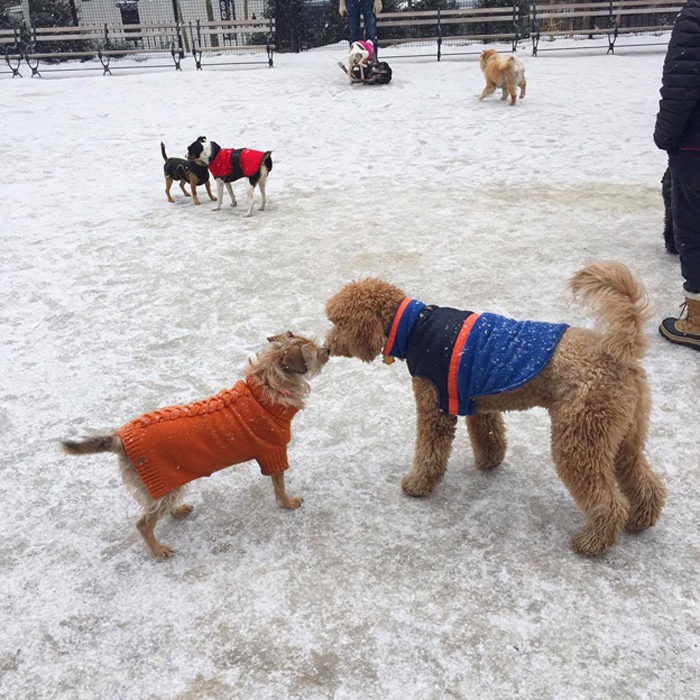 the-wow_sophie-und-tompkin-in-der-fashion-metropole_winter