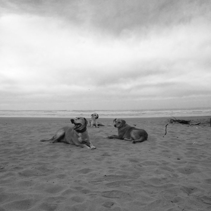 the-wow_laura-und-rocco_marokko_shadow_kaouiki