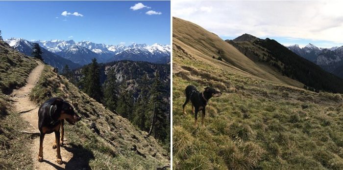 wandern-mit-minou