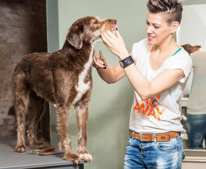 THE WOW | FRANZISKA KNABENREICH EINE GLÜCKLICHE HUNDEFRISEURIN