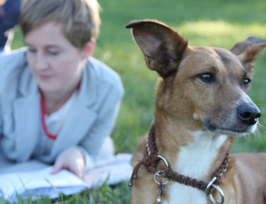 THE WOW | Anna Meissner und Cosmo – zwei Coaches auf sechs Beinen