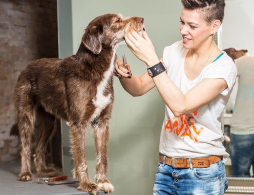 THE WOW | FRANZISKA KNABENREICH EINE GLÜCKLICHE HUNDEFRISEURIN